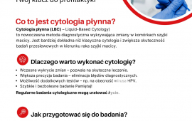 Zdjęcie: 2