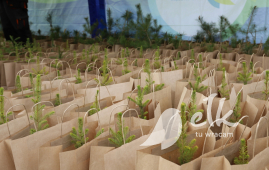600 seedlings for the 600th anniversary of Ełk