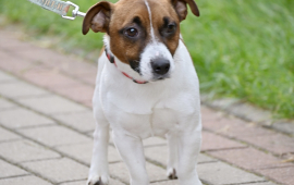 Zdjęcie: 22