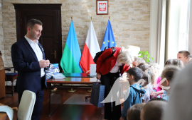 Zdjęcie: 5
