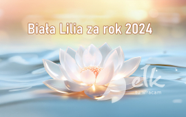 Poznamy laureatów nagrody Białej Lilii