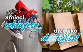 11 odsłona naszej akcji ekologicznej już 22 września
