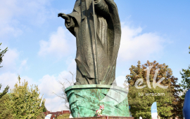 Zdjęcie: 7