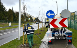 Nowe nasadzenia na ul. Sikorskiego