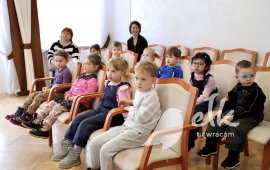 Zdjęcie: 8