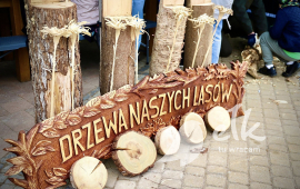Zdjęcie: 1