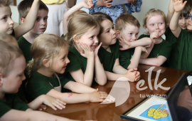 Zdjęcie: 6