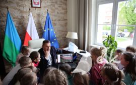 Zdjęcie: 5