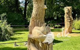 Zdjęcie: 2