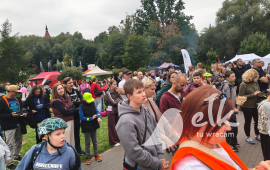 Zdjęcie: 16